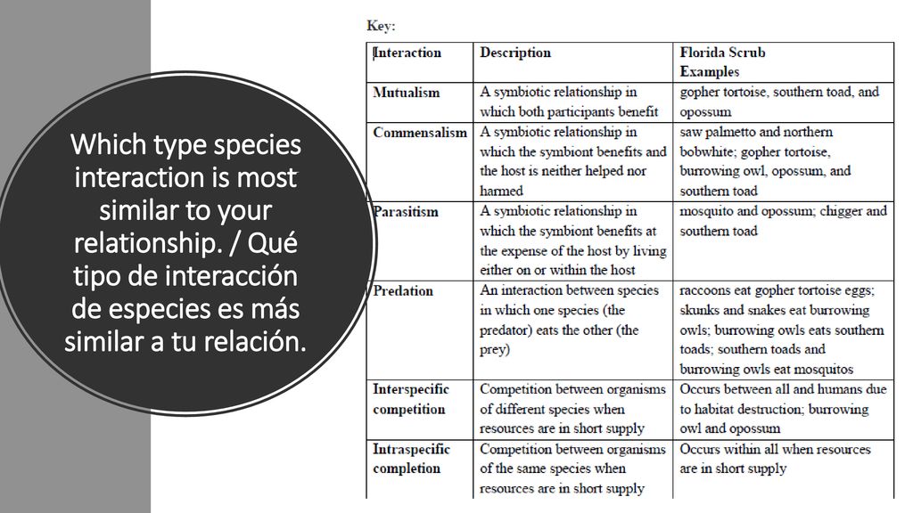 Which type species interaction is most similar to your relationship