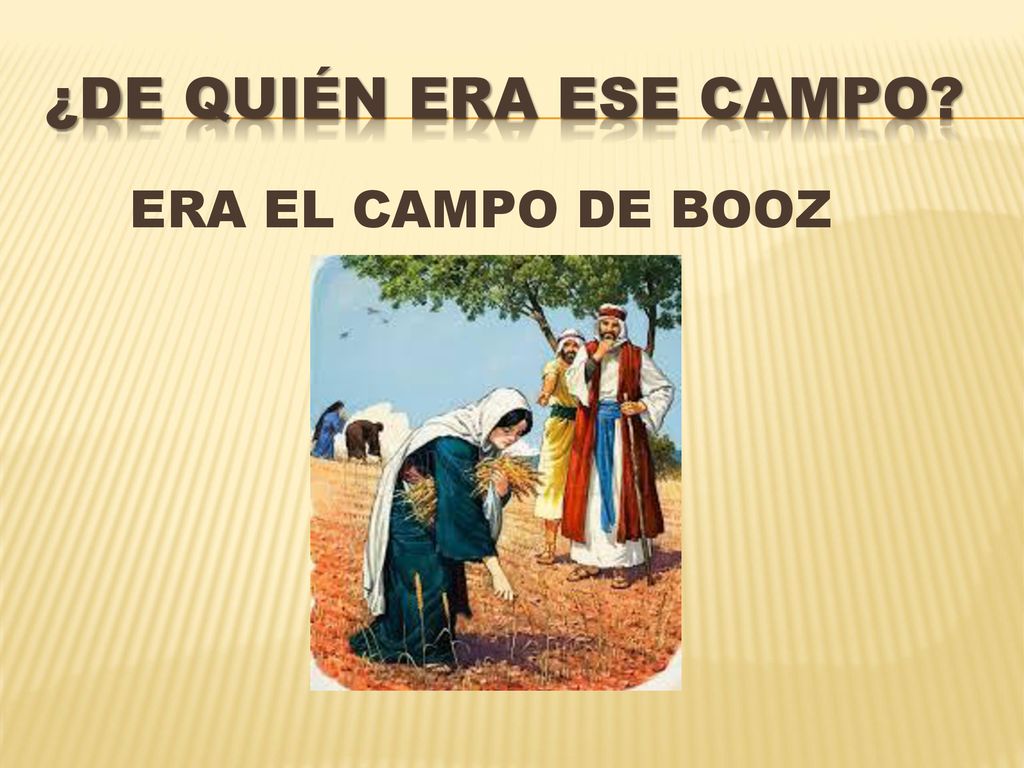 ¿De quién era ese campo ERA EL CAMPO DE BOOZ