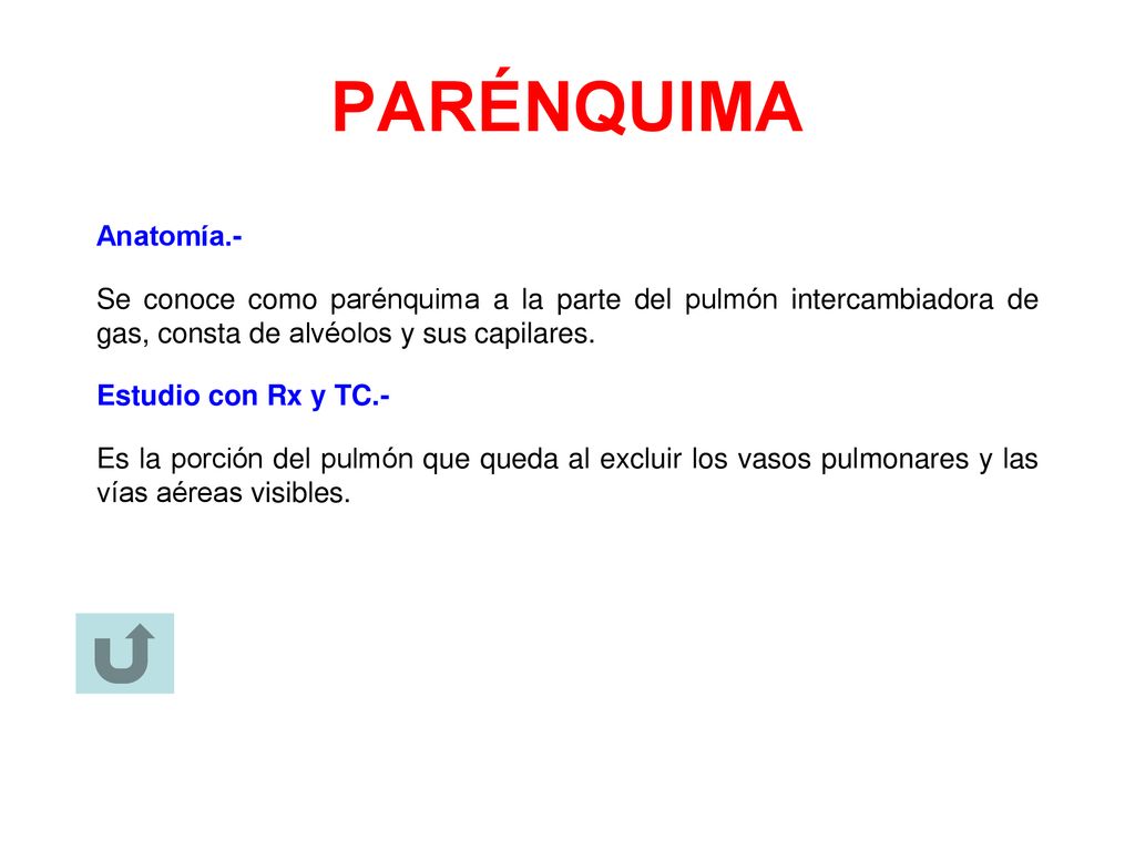 PARÉNQUIMA Anatomía.- Se conoce como parénquima a la parte del pulmón intercambiadora de gas, consta de alvéolos y sus capilares.