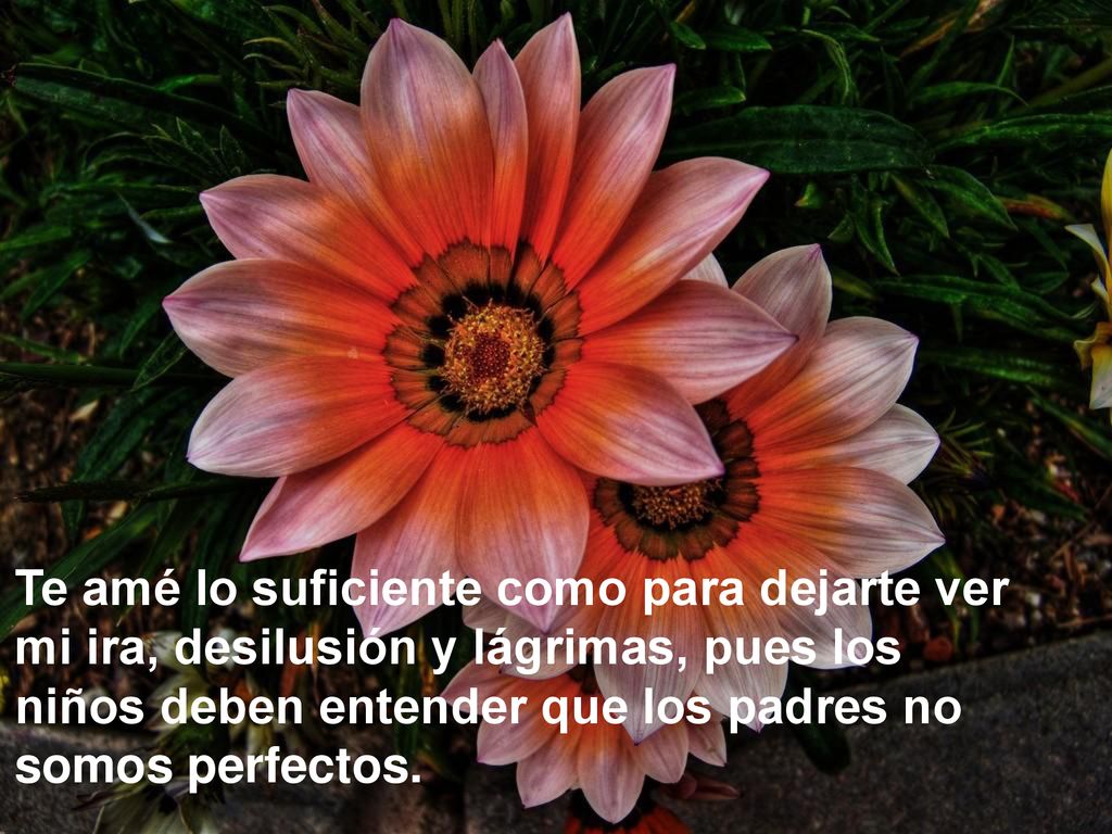 Te amé lo suficiente como para dejarte ver mi ira, desilusión y lágrimas, pues los niños deben entender que los padres no somos perfectos.