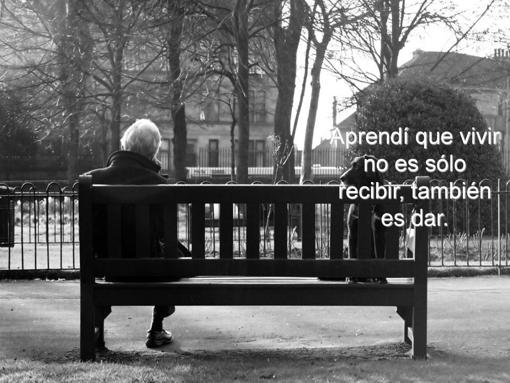 Aprendí que vivir no es sólo recibir, también es dar.