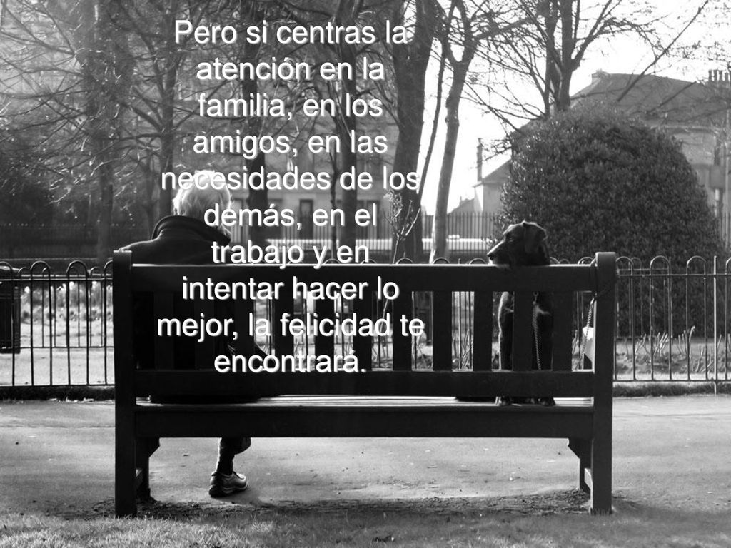 Pero si centras la atención en la familia, en los amigos, en las necesidades de los demás, en el trabajo y en intentar hacer lo mejor, la felicidad te encontrará.