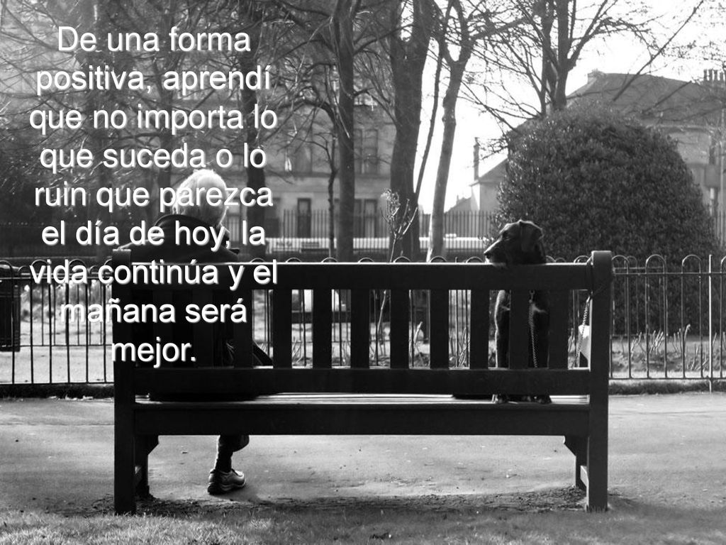 De una forma positiva, aprendí que no importa lo que suceda o lo ruin que parezca el día de hoy, la vida continúa y el mañana será mejor.