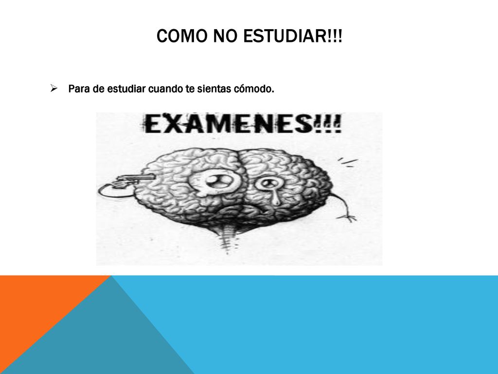 Como no estudiar!!! Para de estudiar cuando te sientas cómodo.
