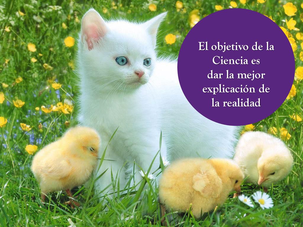 El objetivo de la Ciencia es dar la mejor explicación de la realidad