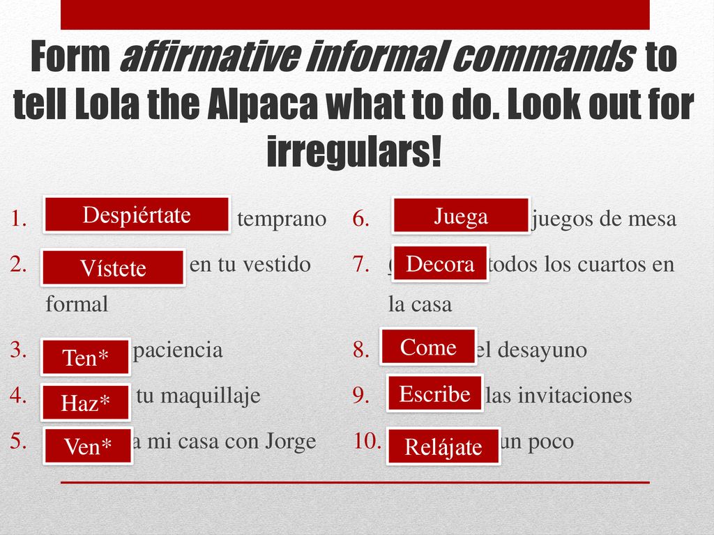 Form affirmative informal commands to tell Lola the Alpaca what to do