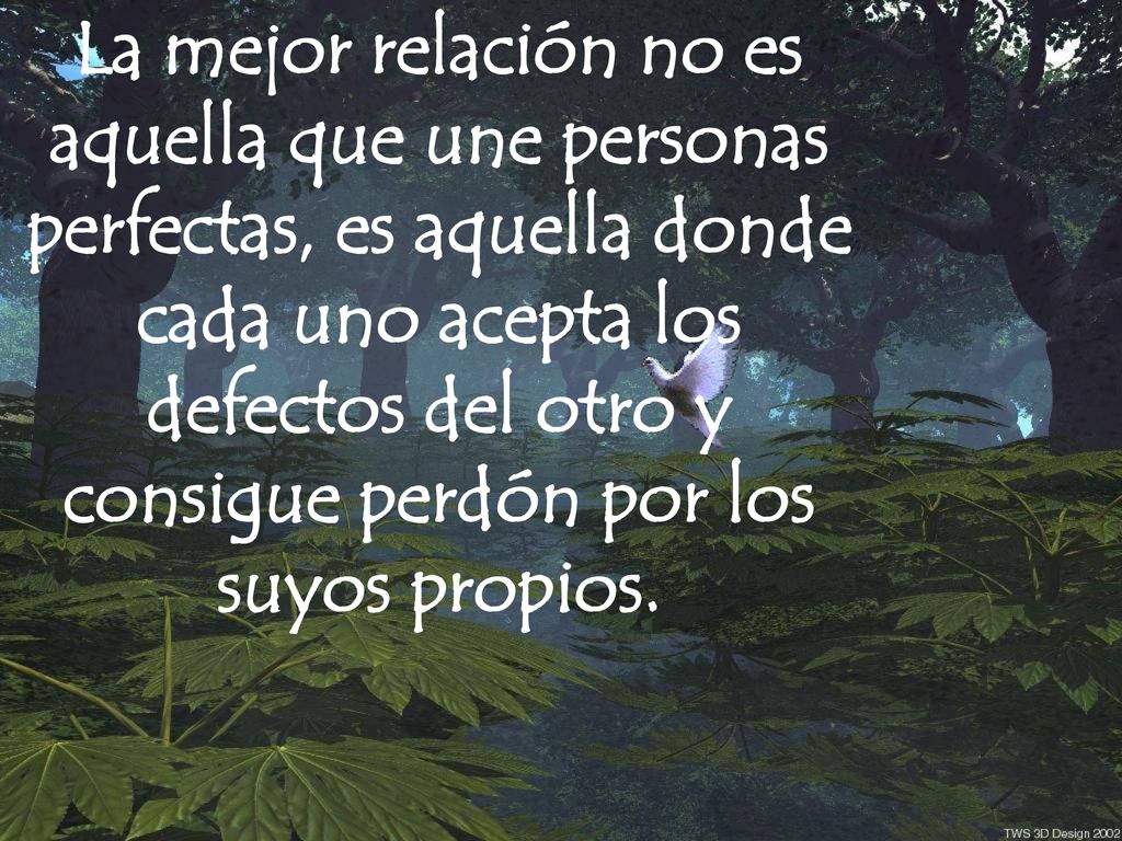 La mejor relación no es aquella que une personas perfectas, es aquella donde cada uno acepta los defectos del otro y consigue perdón por los suyos propios.
