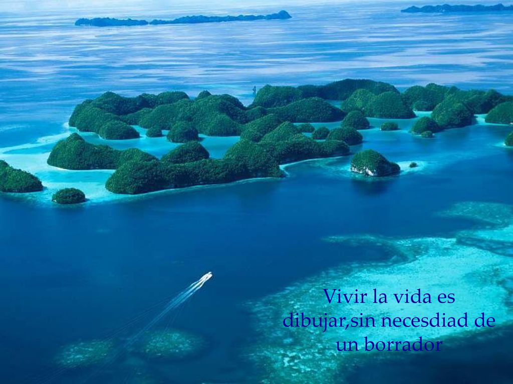 Vivir la vida es dibujar,sin necesdiad de un borrador