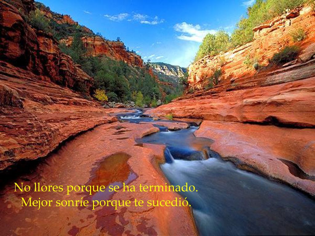 No llores porque se ha terminado. Mejor sonríe porque te sucedió.