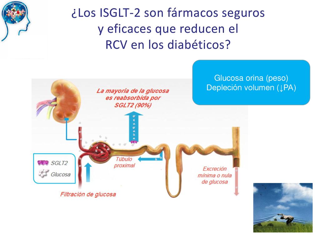 ¿Los ISGLT-2 son fármacos seguros y eficaces que reducen el