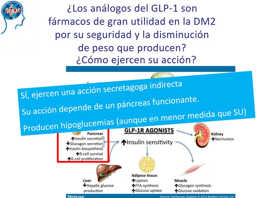 ¿Los análogos del GLP-1 son fármacos de gran utilidad en la DM2