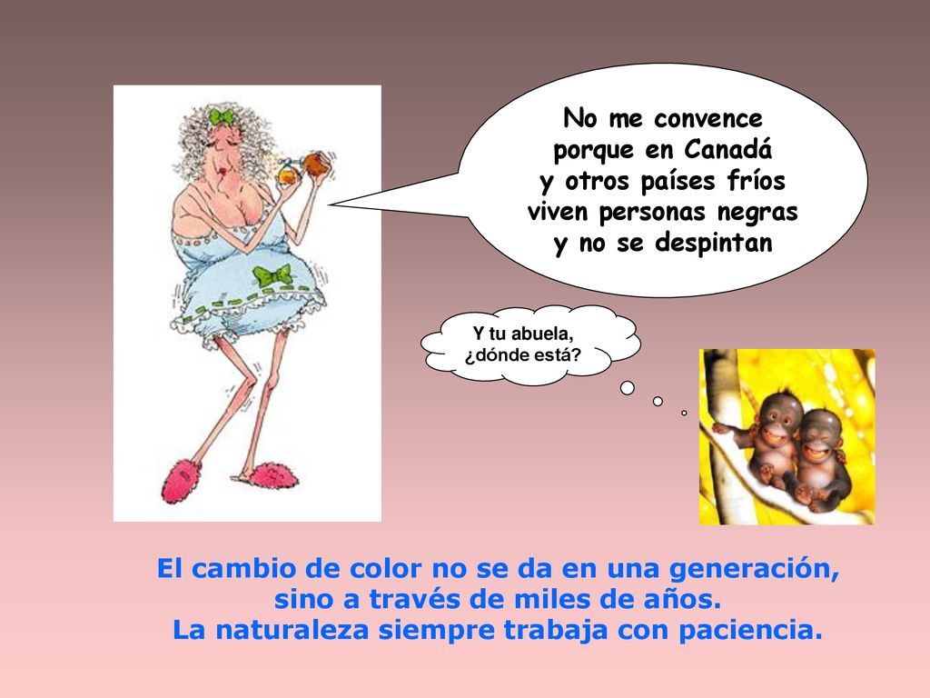 El cambio de color no se da en una generación,