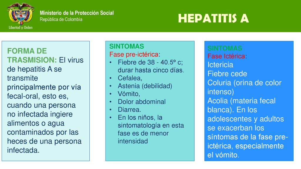 HEPATITIS A SINTOMAS. Fase pre-ictérica: Fiebre de º c; durar hasta cinco días. Cefalea,