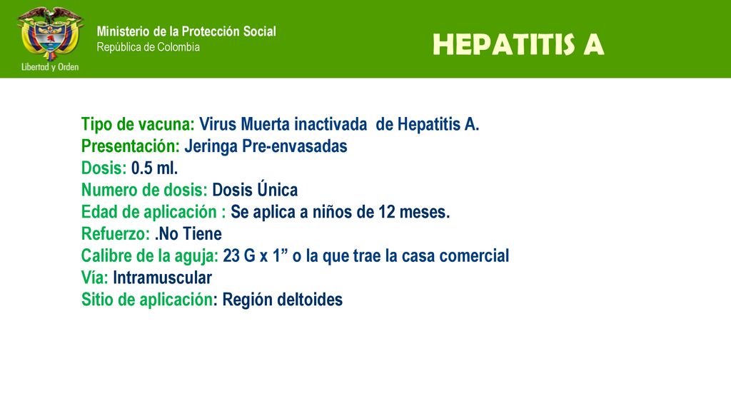HEPATITIS A Tipo de vacuna: Virus Muerta inactivada de Hepatitis A.