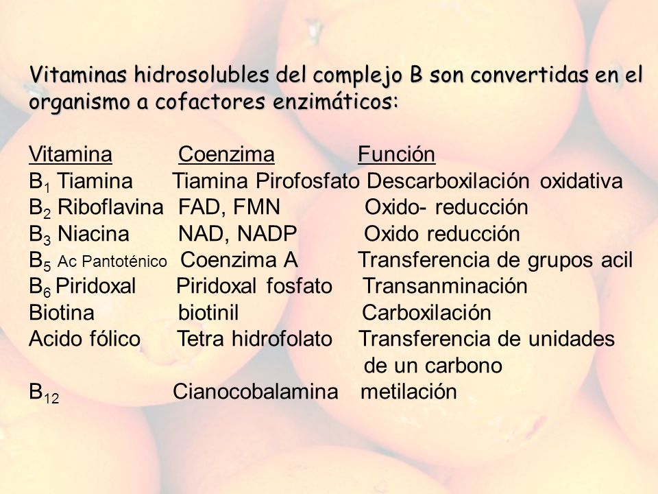 Vitaminas hidrosolubles del complejo B son convertidas en el organismo a cofactores enzimáticos: