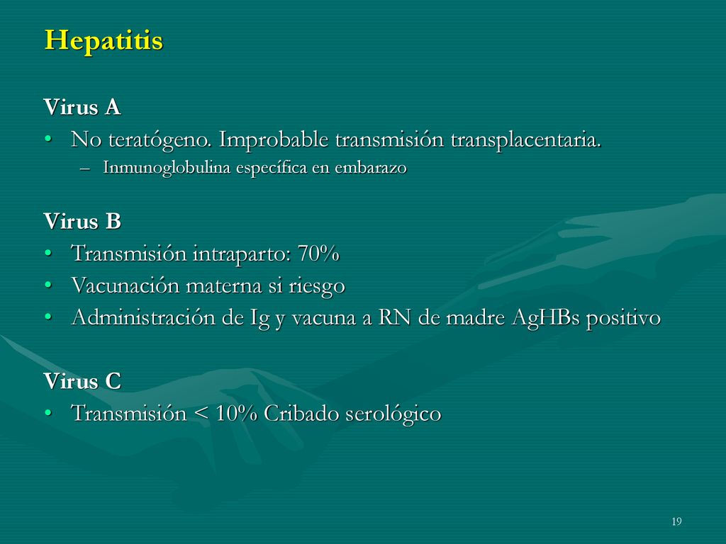 Hepatitis Virus A. No teratógeno. Improbable transmisión transplacentaria. Inmunoglobulina específica en embarazo.