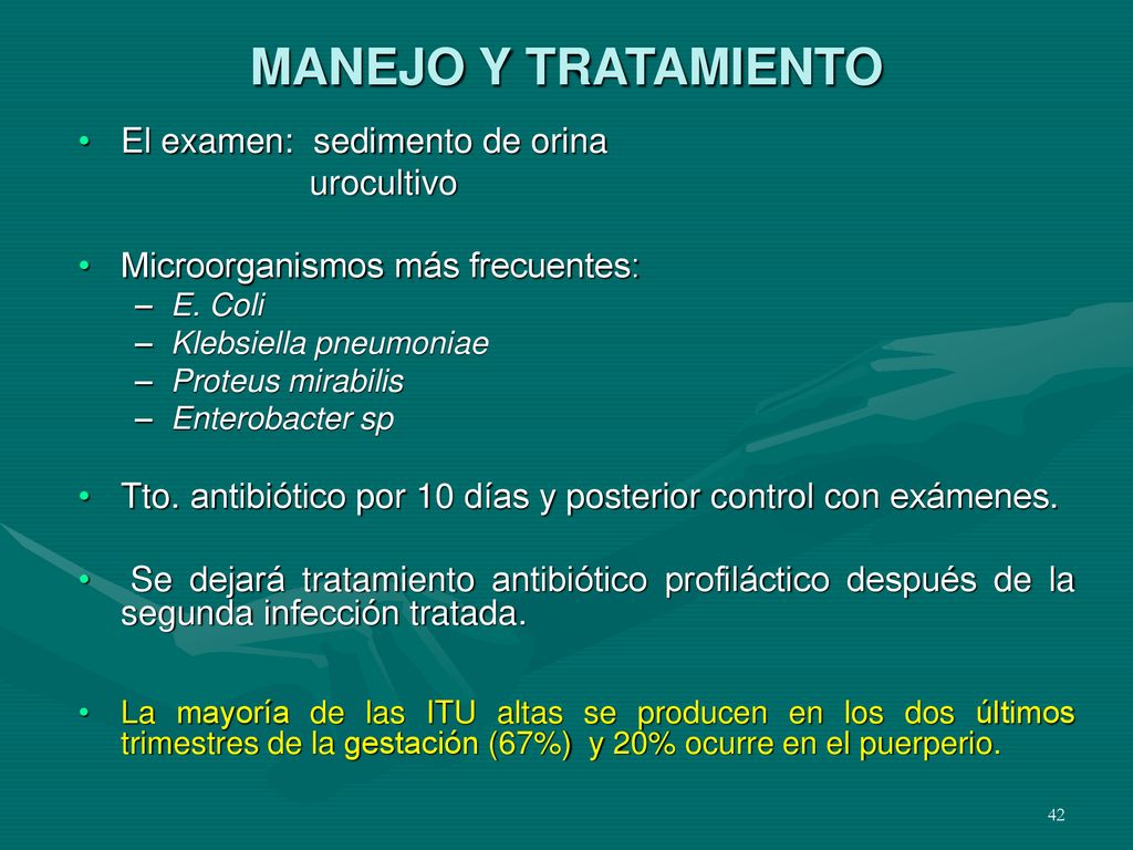 MANEJO Y TRATAMIENTO El examen: sedimento de orina urocultivo