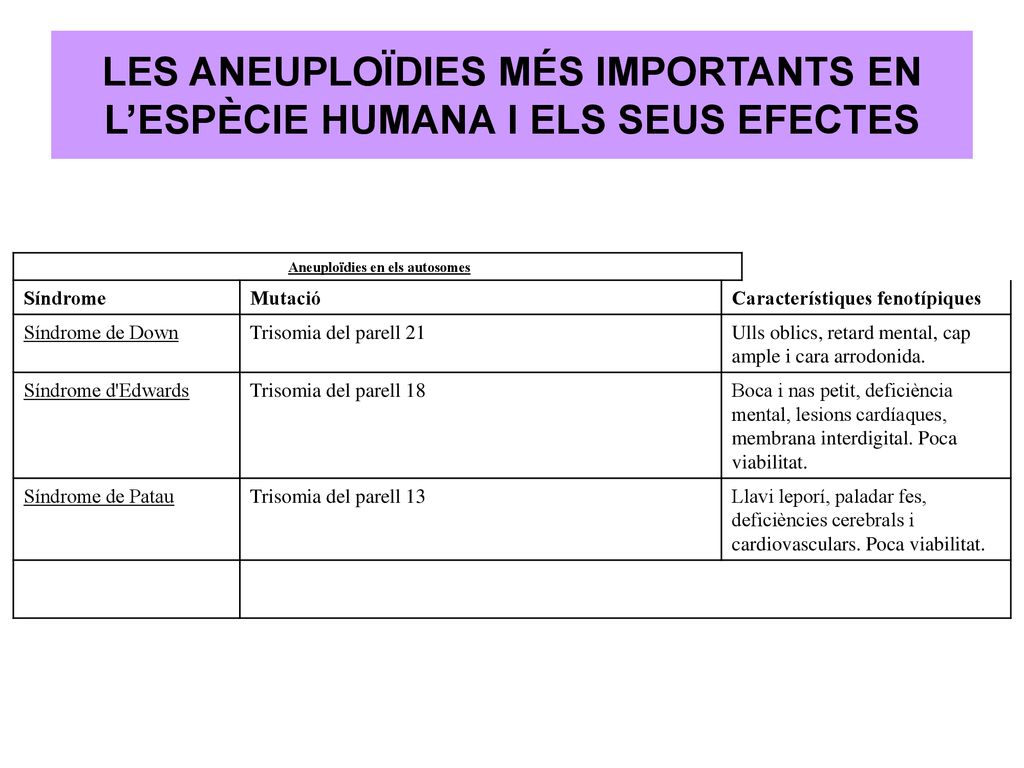 LES ANEUPLOÏDIES MÉS IMPORTANTS EN L’ESPÈCIE HUMANA I ELS SEUS EFECTES
