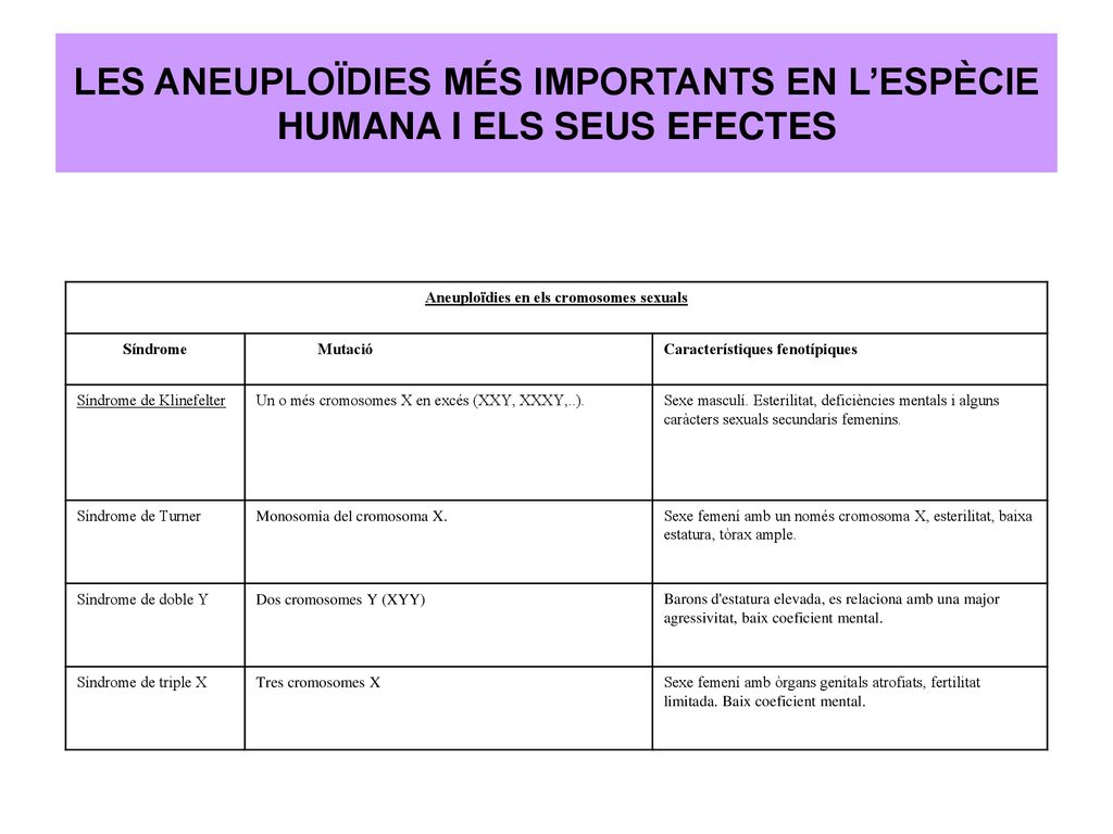 LES ANEUPLOÏDIES MÉS IMPORTANTS EN L’ESPÈCIE HUMANA I ELS SEUS EFECTES