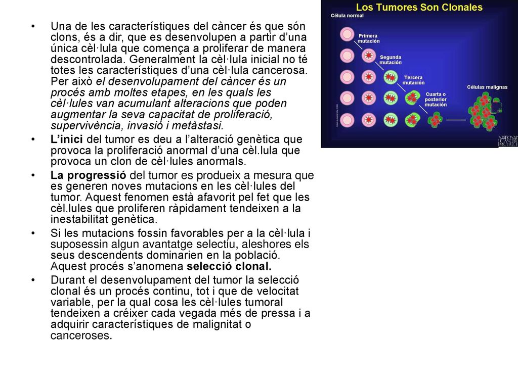 Una de les característiques del càncer és que són clons, és a dir, que es desenvolupen a partir d’una única cèl·lula que comença a proliferar de manera descontrolada. Generalment la cèl·lula inicial no té totes les característiques d’una cèl·lula cancerosa. Per això el desenvolupament del càncer és un procés amb moltes etapes, en les quals les cèl·lules van acumulant alteracions que poden augmentar la seva capacitat de proliferació, supervivència, invasió i metàstasi.