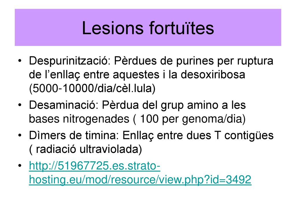 Lesions fortuïtes Despurinització: Pèrdues de purines per ruptura de l’enllaç entre aquestes i la desoxiribosa ( /dia/cèl.lula)