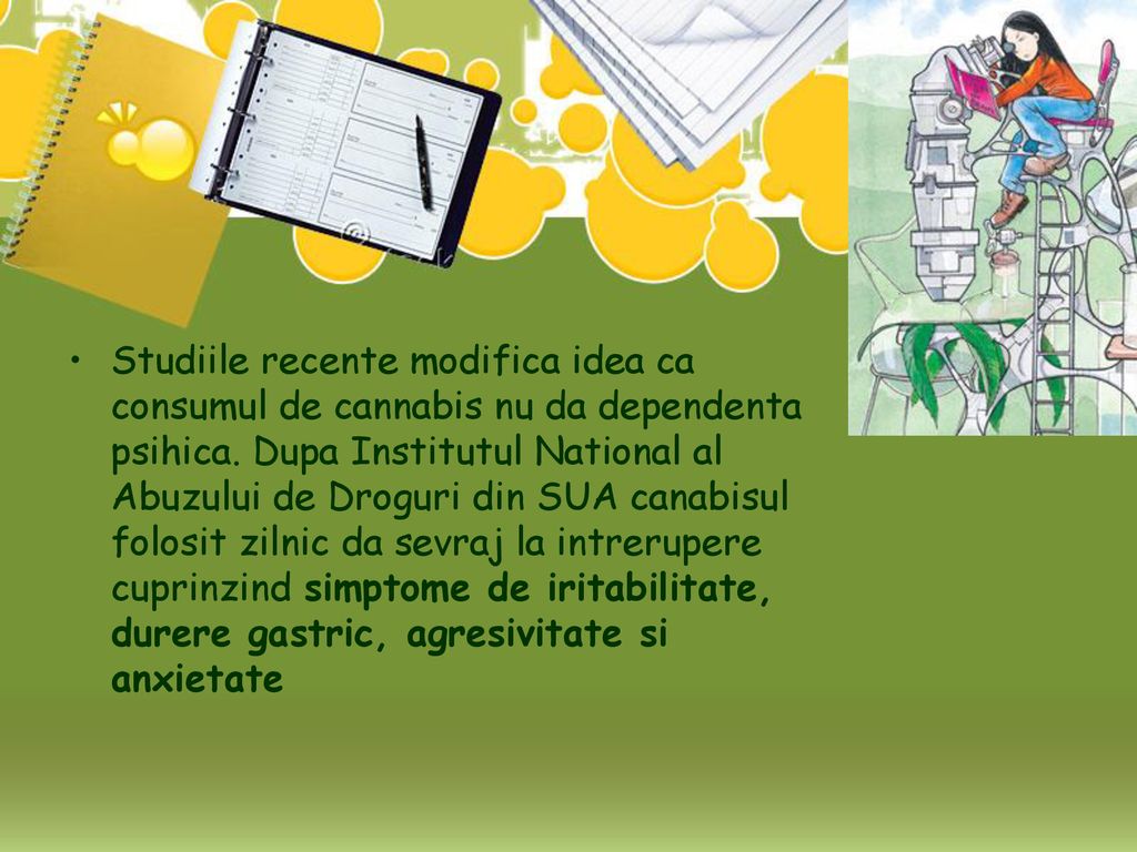 Studiile recente modifica idea ca consumul de cannabis nu da dependenta psihica.