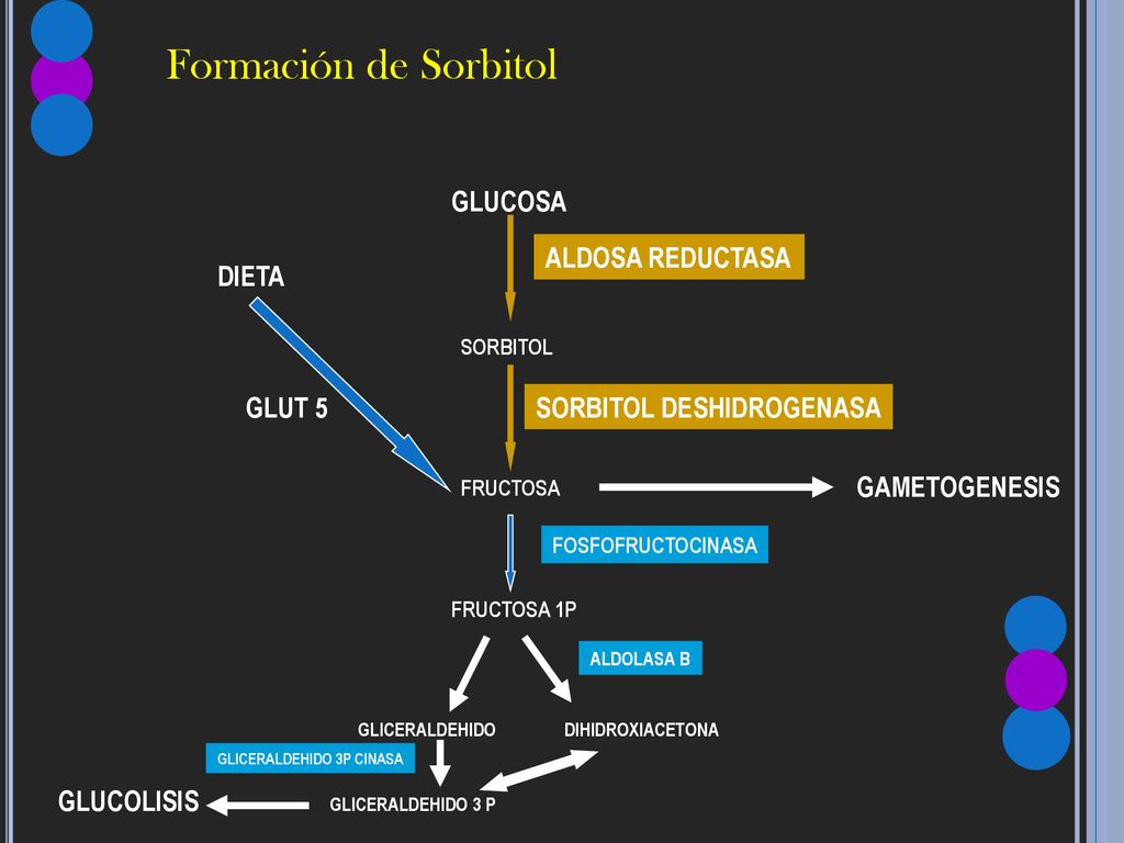 Formación de Sorbitol GLUCOSA ALDOSA REDUCTASA DIETA GLUT 5