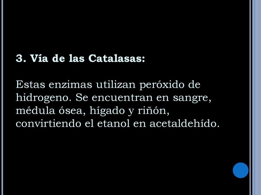3. Vía de las Catalasas: Estas enzimas utilizan peróxido de hidrogeno
