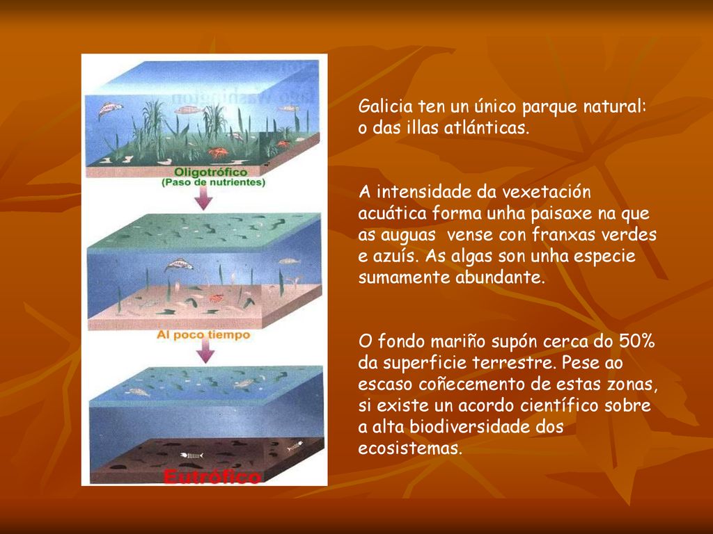Galicia ten un único parque natural: o das illas atlánticas.