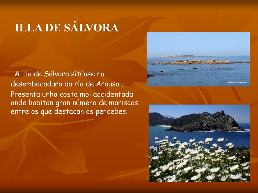 A illa de Sálvora sitúase na desembocadura da ría de Arousa .