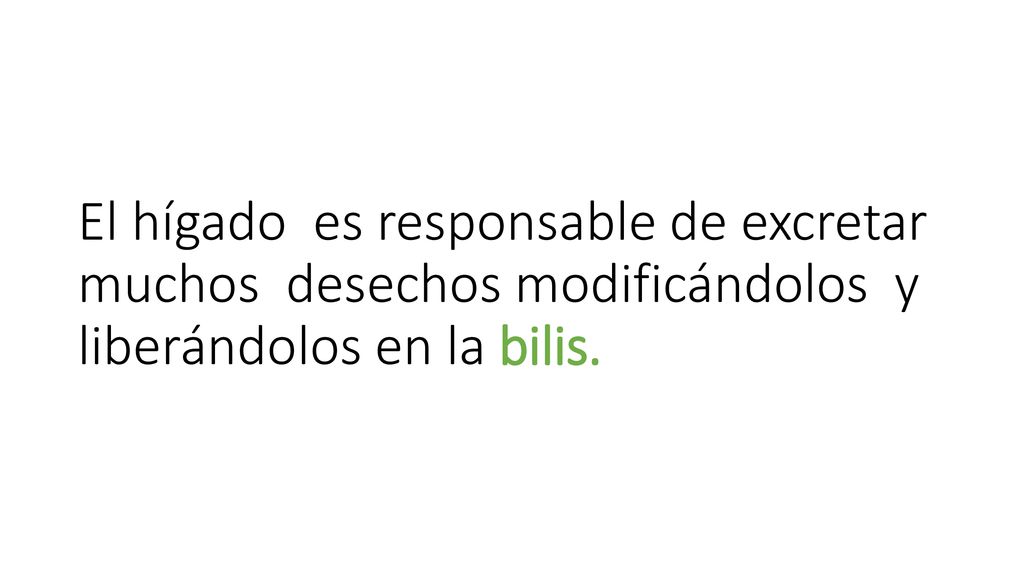 El hígado es responsable de excretar muchos desechos modificándolos y liberándolos en la bilis.