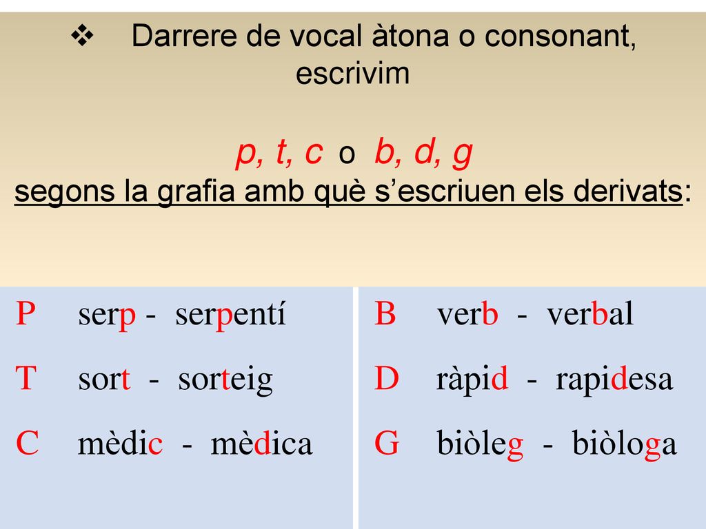 P serp - serpentí T sort - sorteig C mèdic - mèdica B verb - verbal