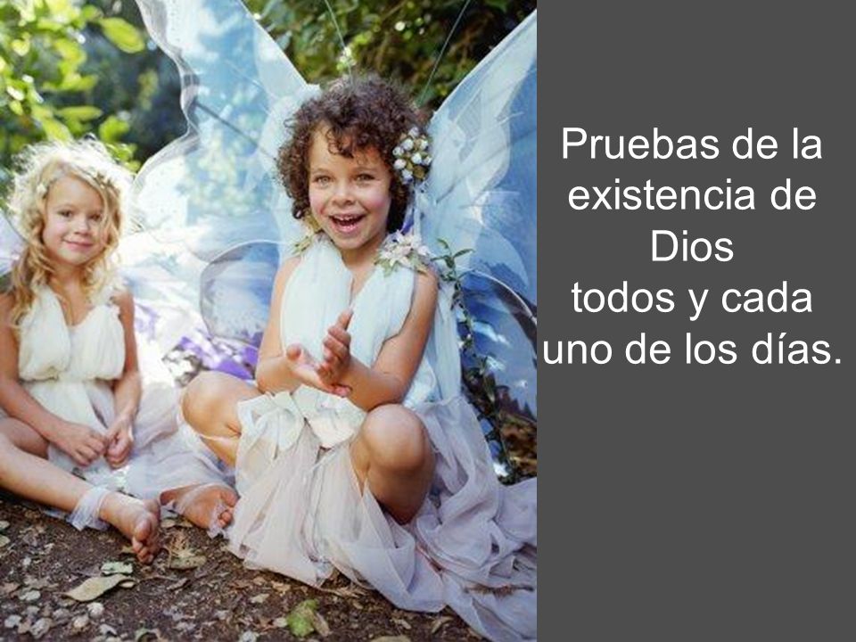 Pruebas de la existencia de Dios todos y cada uno de los días.