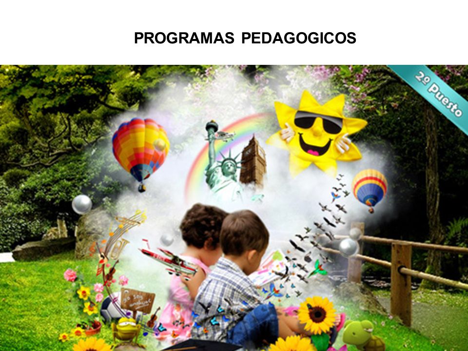 PROGRAMAS PEDAGOGICOS