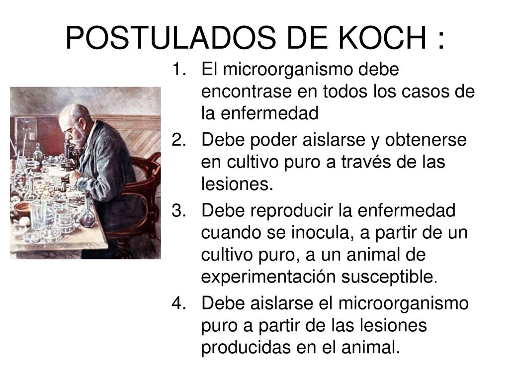 POSTULADOS DE KOCH : El microorganismo debe encontrase en todos los casos de la enfermedad.