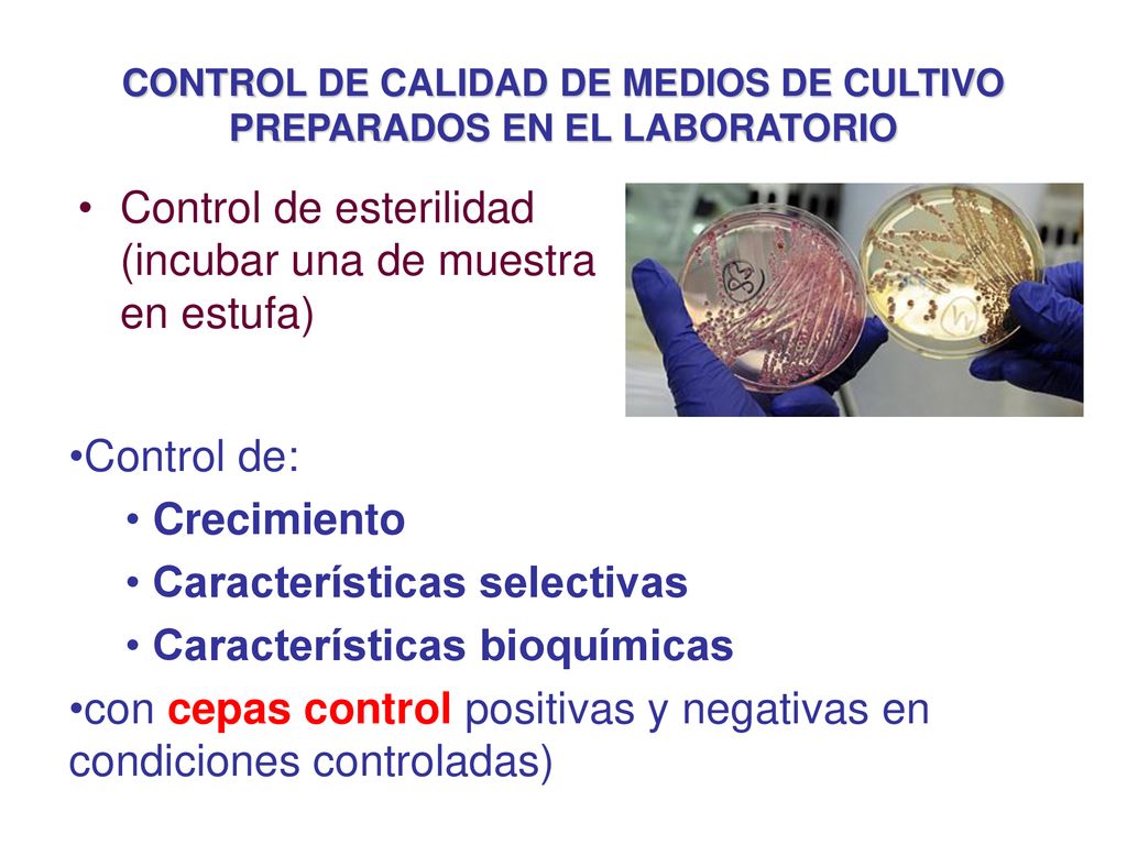 CONTROL DE CALIDAD EN MICROBIOLOGÍA - ppt descargar