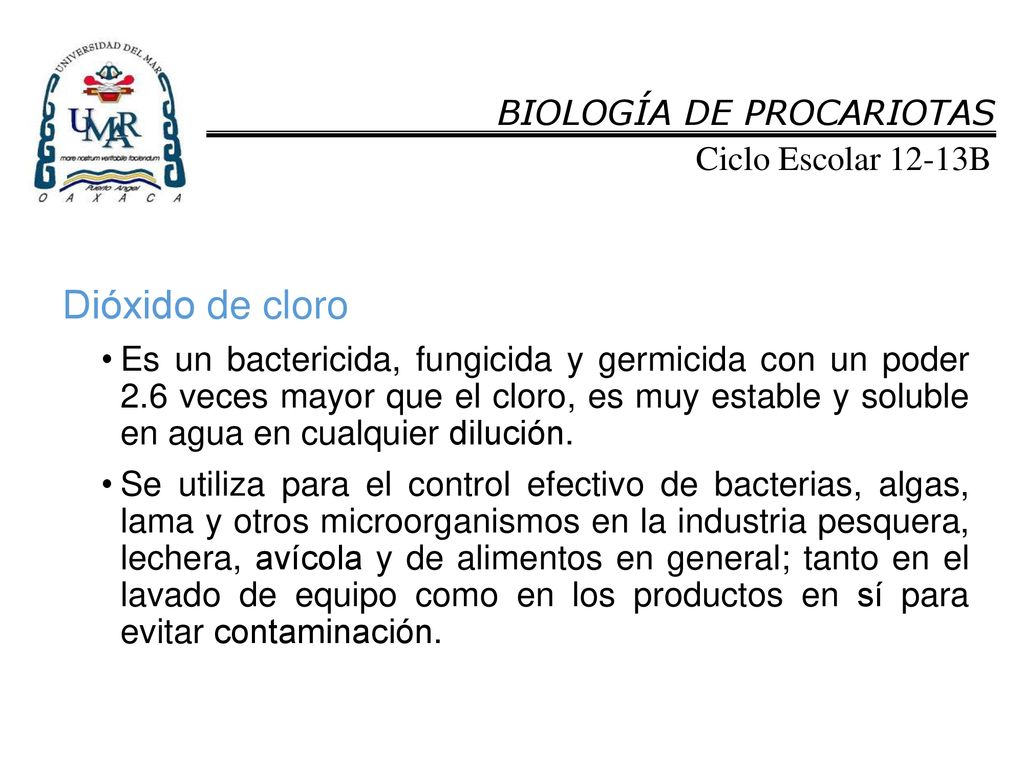 Dióxido de cloro BIOLOGÍA DE PROCARIOTAS Ciclo Escolar 12-13B