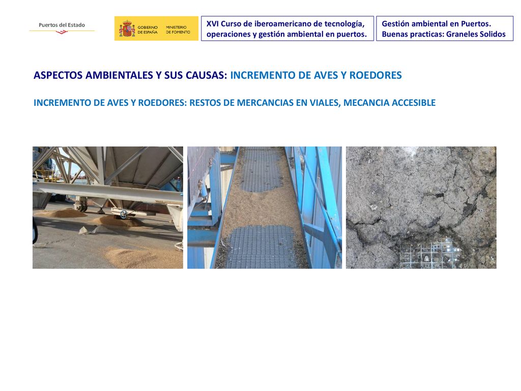 ASPECTOS AMBIENTALES Y SUS CAUSAS: INCREMENTO DE AVES Y ROEDORES