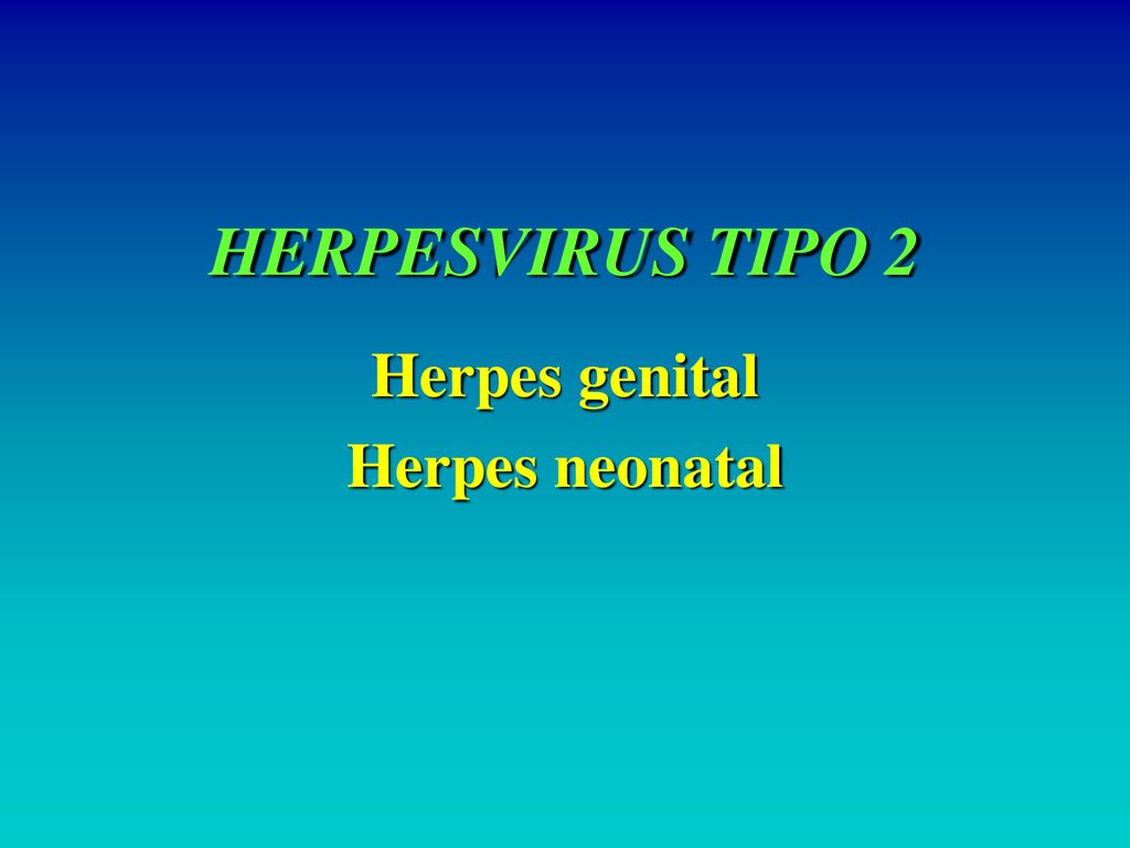 HERPESVIRUS TIPO 2 Herpes genital Herpes neonatal