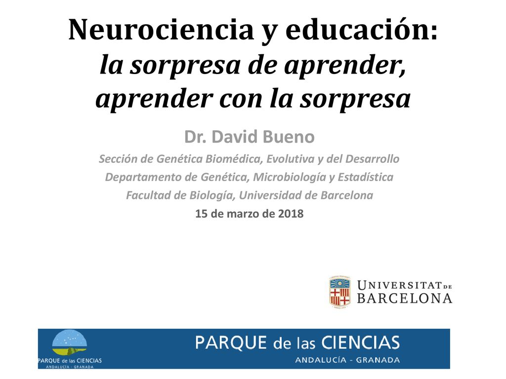 Neurociencia y educación: la sorpresa de aprender, aprender con la sorpresa