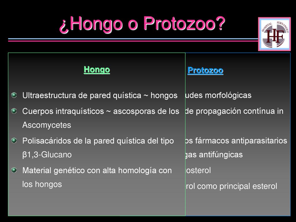 ¿Hongo o Protozoo Hongo Ultraestructura de pared quística ~ hongos