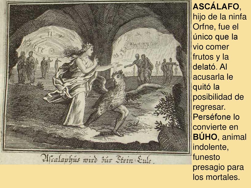 ASCÁLAFO, hijo de la ninfa Orfne, fue el único que la vio comer frutos y la delató.