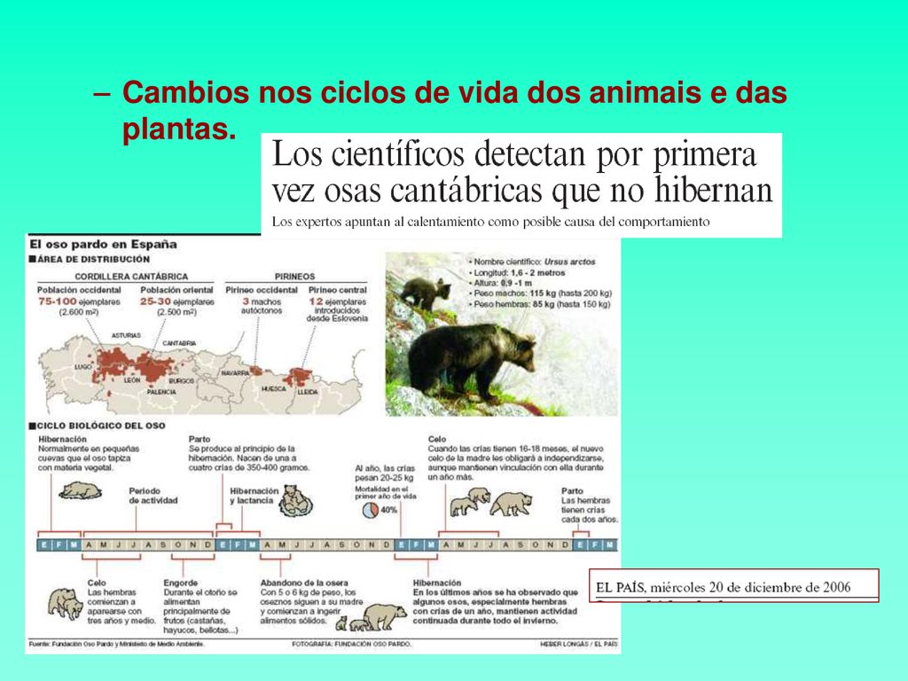 Cambios nos ciclos de vida dos animais e das plantas.