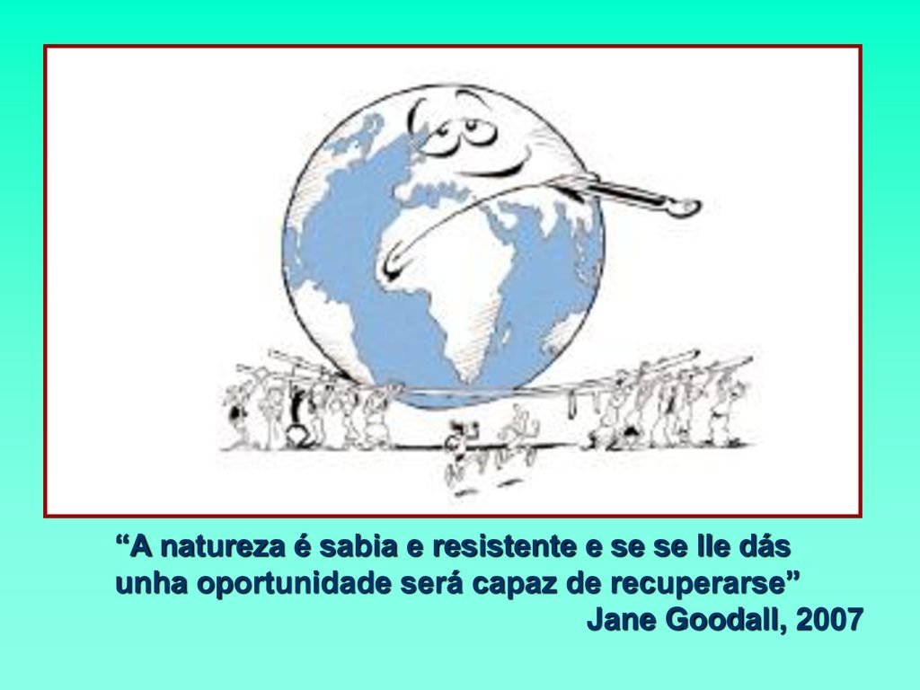 A natureza é sabia e resistente e se se lle dás unha oportunidade será capaz de recuperarse