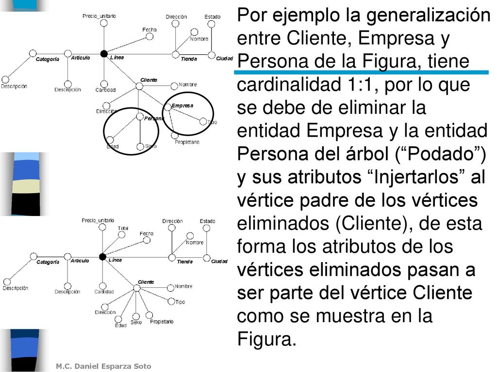 Por ejemplo la generalización entre Cliente, Empresa y Persona de la Figura, tiene cardinalidad 1:1, por lo que se debe de eliminar la entidad Empresa y la entidad Persona del árbol ( Podado ) y sus atributos Injertarlos al vértice padre de los vértices eliminados (Cliente), de esta forma los atributos de los vértices eliminados pasan a ser parte del vértice Cliente como se muestra en la Figura.