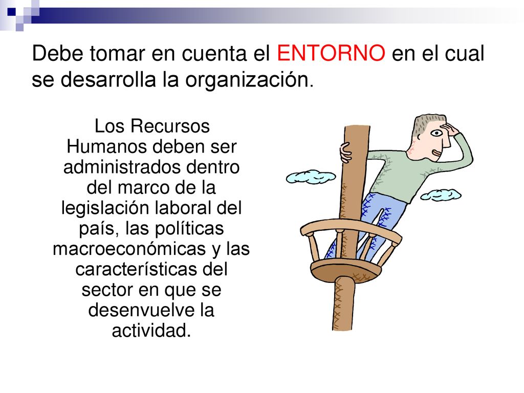 Debe tomar en cuenta el ENTORNO en el cual se desarrolla la organización.