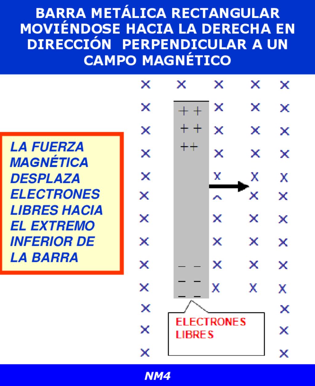                   x x x x x x x x x