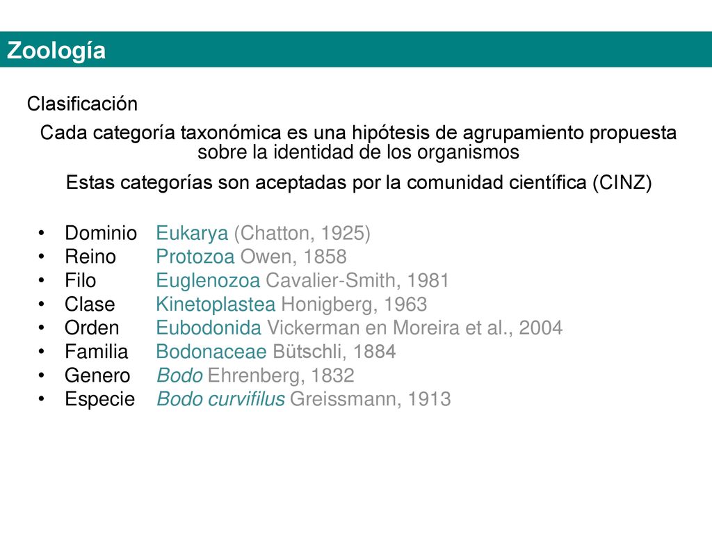 Estas categorías son aceptadas por la comunidad científica (CINZ)