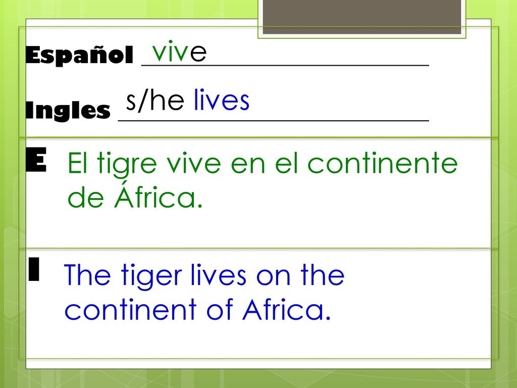 E I vive s/he lives El tigre vive en el continente de África.