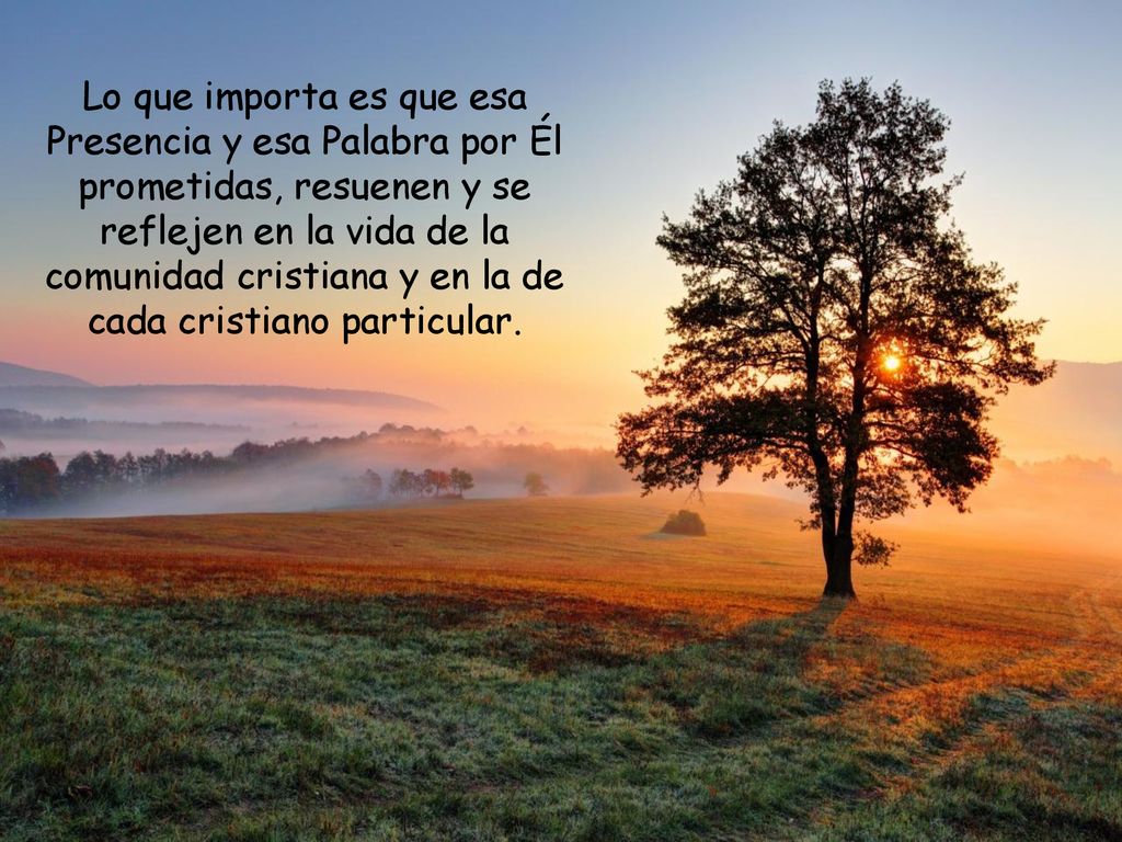 Lo que importa es que esa Presencia y esa Palabra por Él prometidas, resuenen y se reflejen en la vida de la comunidad cristiana y en la de cada cristiano particular.